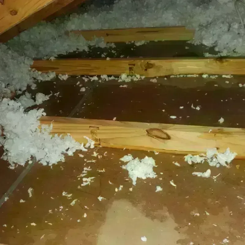 Attic Water Damage in Scott Lake, FL