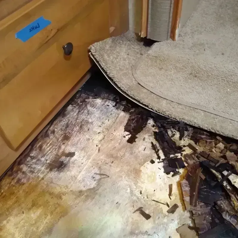 Wood Floor Water Damage in Scott Lake, FL